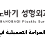 BANOBAGI Plastic Surgery (바노바기성형외과) - معلومات الجراحة التجميلية في كوريا